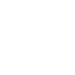 Sinistro